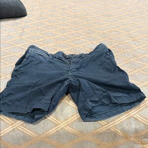 American Eagle Outfitters Dark Blue Men's Shorts